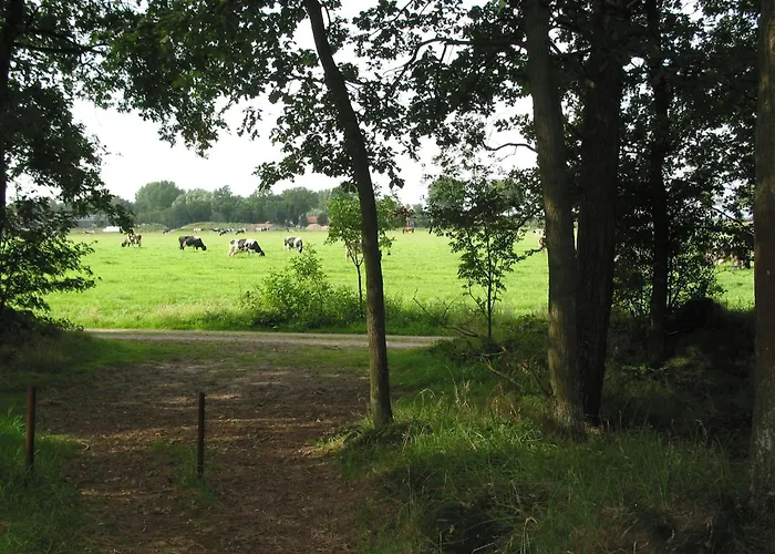Ferienhaus In Herperduin With Private Garden