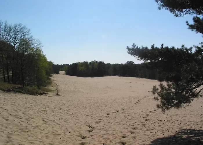 In Herperduin With Private Garden Ferienhaus