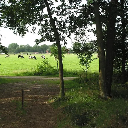 Hébergement de vacances In Herperduin With Private Garden