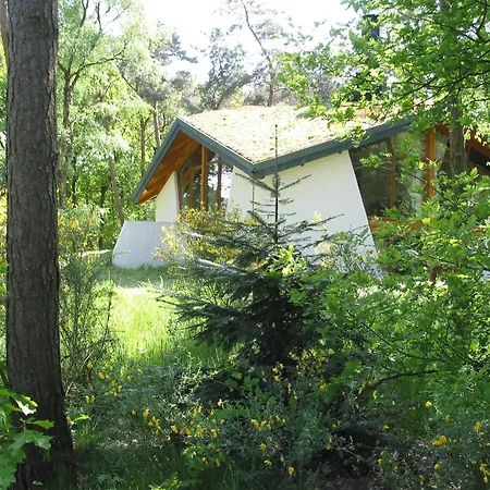 Hébergement de vacances In Herperduin With Private Garden Herpen