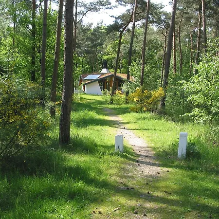 In Herperduin With Private Garden