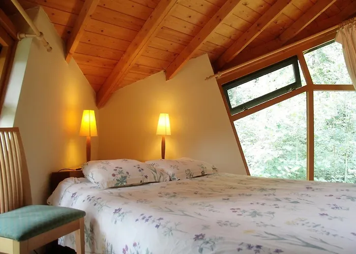 In Herperduin With Private Garden Ferienhaus *